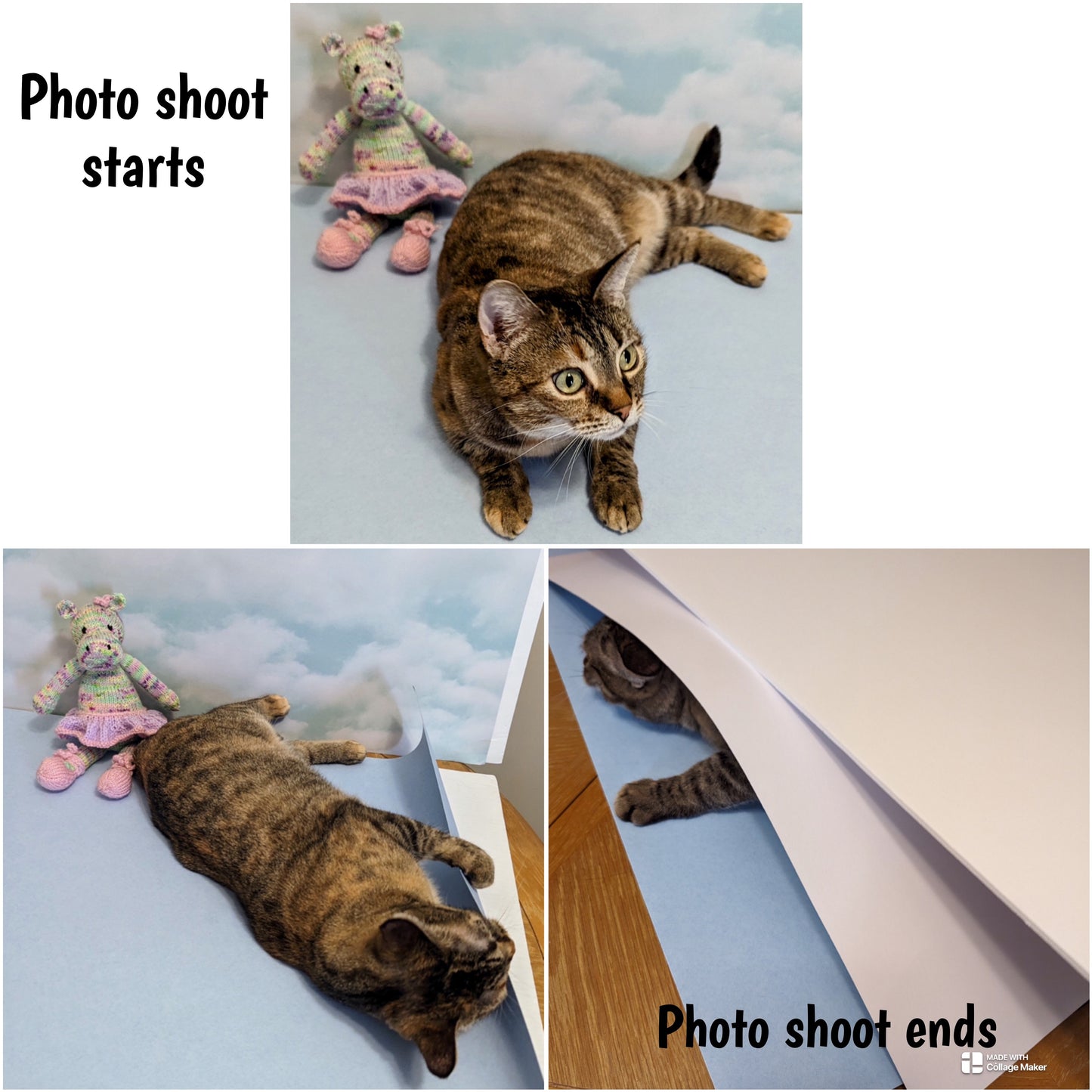 Dancibella the Dancing Hippo knitting pattern