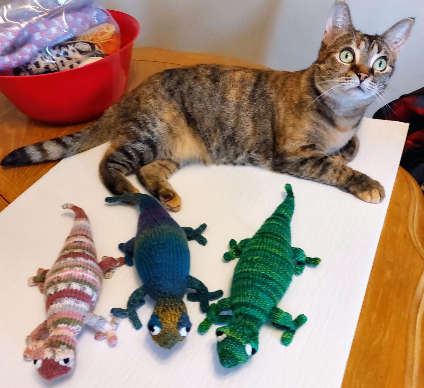 Gecko Knitting Pattern