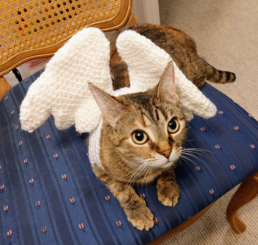 Wings for your Cat